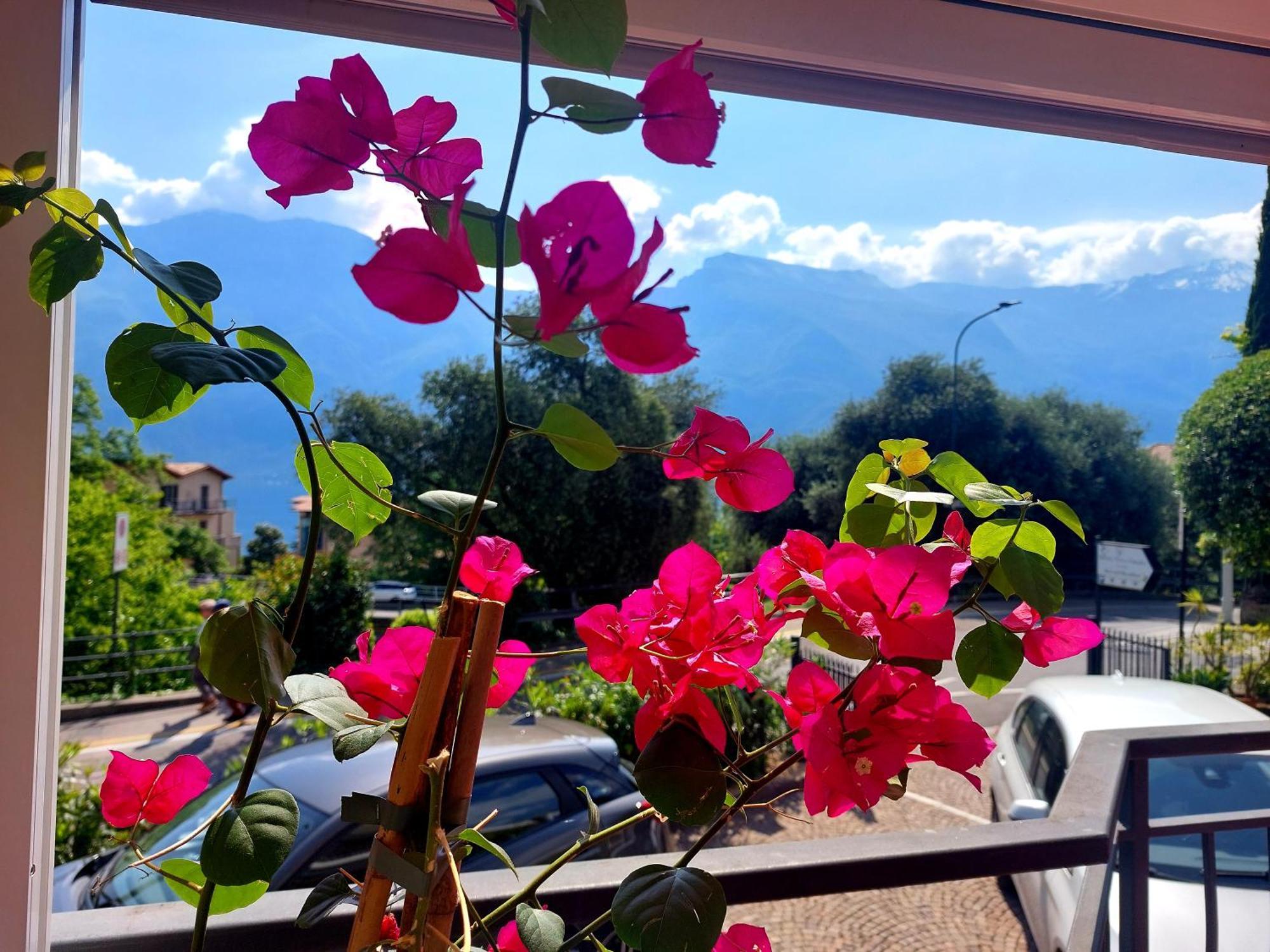 Hotel Villa Grazia リモーネ・スル・ガルダ エクステリア 写真